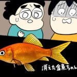 消えた金魚ちゃん①